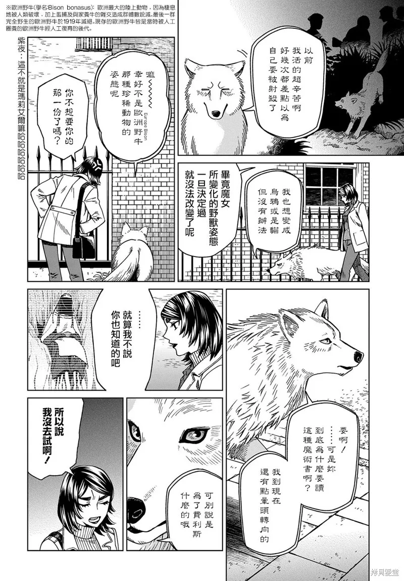 魔法使之嫁,第73话,第12张