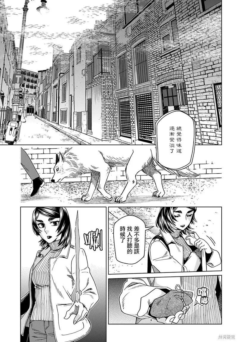 魔法使之嫁,第73话,第17张