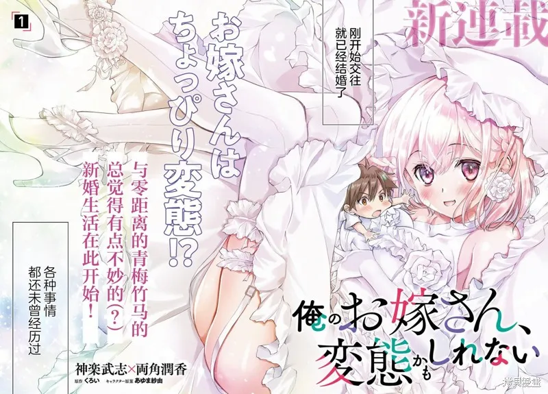 我的妻子似乎是個變態,第01話,第2张