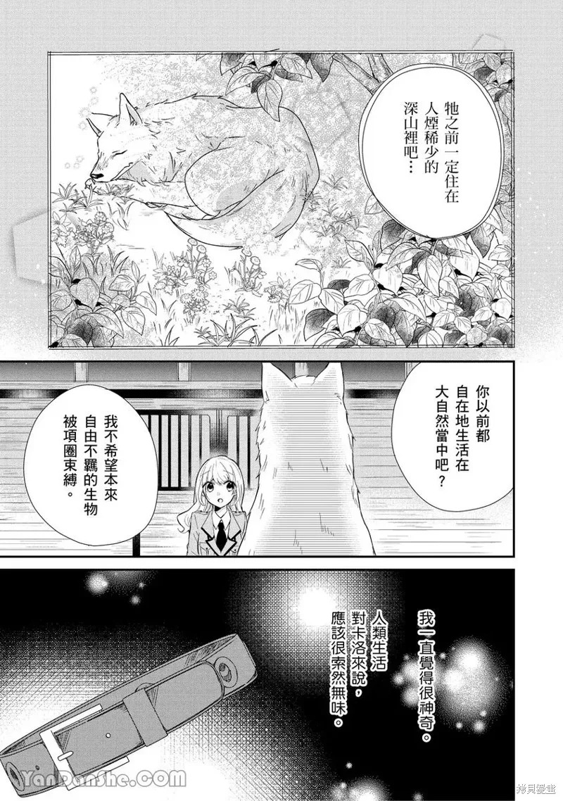 獸騎士團的特編成員！萌獸保母照顧中,第08話,第5张