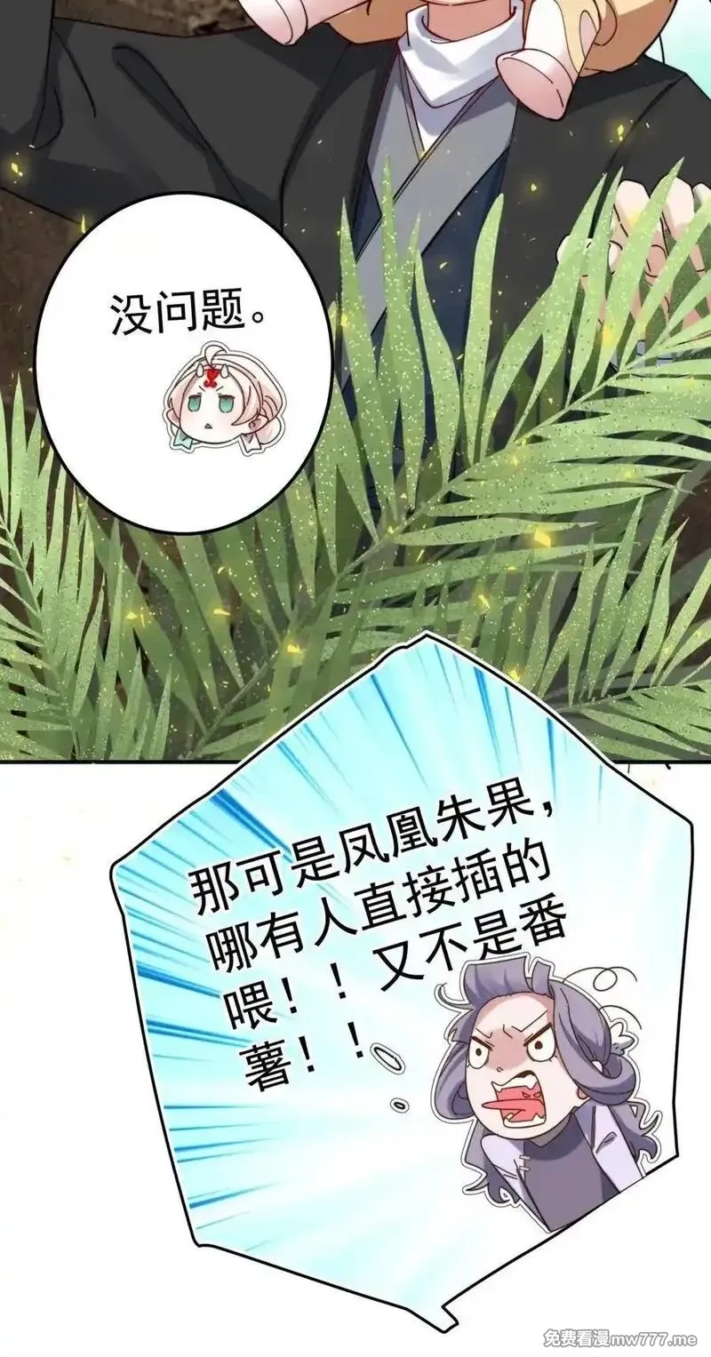 我的徒弟居然是女帝,109 凤凰朱果,第24张